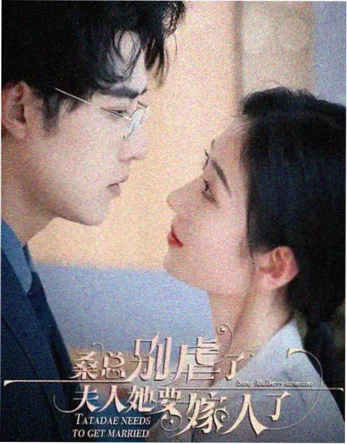 豆子供应商篇封面